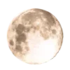 🌑