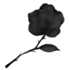 ꪆ vaꭑթir ➩ !! 🧛 ୧ — эмодзи пак Telegram