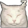 😴