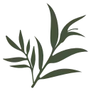 🌿