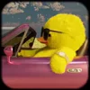 😎