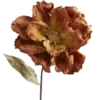 🌷