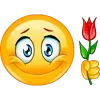 🌹