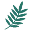 🌿