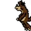 🌟