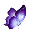🦋