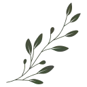 🌿
