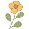 🌼