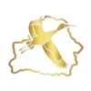 🟡