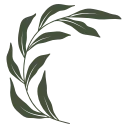 🌿