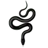 🐍