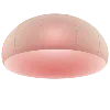 🪷