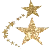 ✨