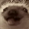 🦔