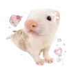 💗