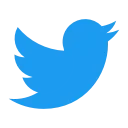 🐤