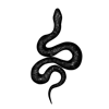 🐍