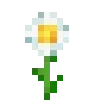 🌺