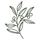 🌿
