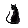 🐈‍⬛