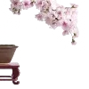 🪷