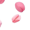 ⭐