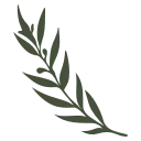🌿