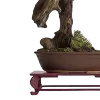 🪷