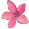 🌸