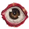 👁️