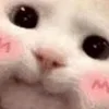 ☺️