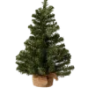 🌲