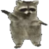 🦝