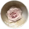🪷