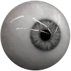 👁️