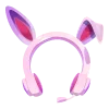 🐰