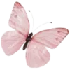 🦋
