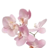 🌸