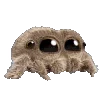 🕷