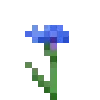 🌺