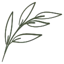 🌿