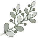 🌿
