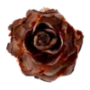 🌹