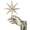 ⭐️