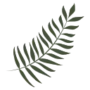 🌿