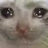 😭