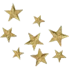 ✨