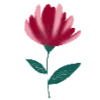 🌺