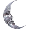 🌘