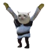 🕺